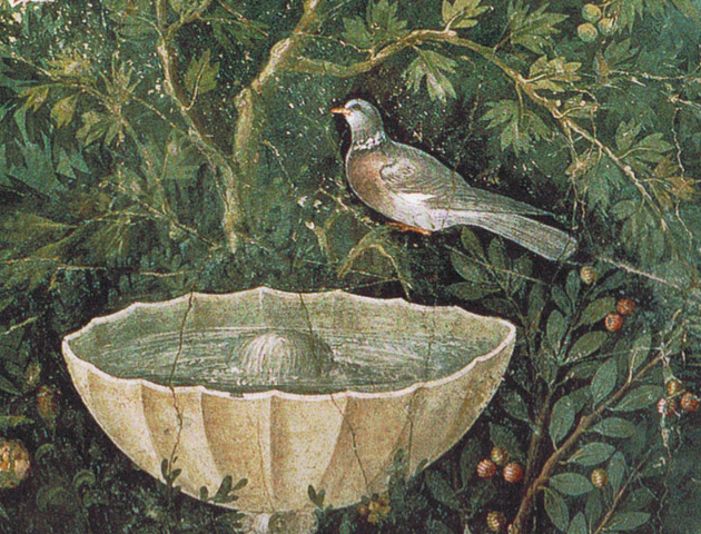 Bubble-2-Vogel-am-Brunnen-Neu